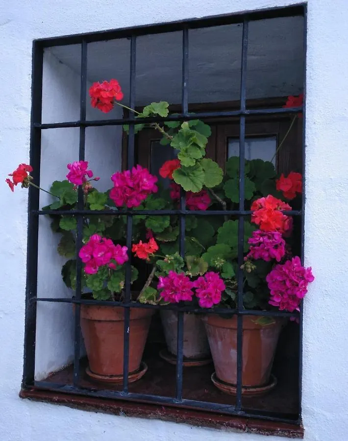 Casa Rural En Grazalema